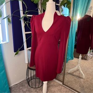 NWT BURGUNDY BODYCON DRESS